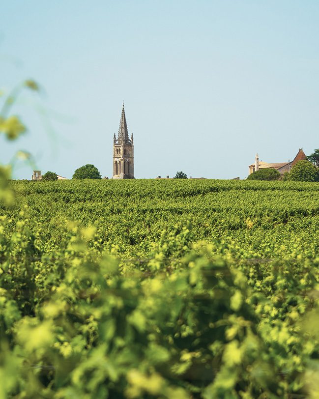 The Jera lending process for wine businesses