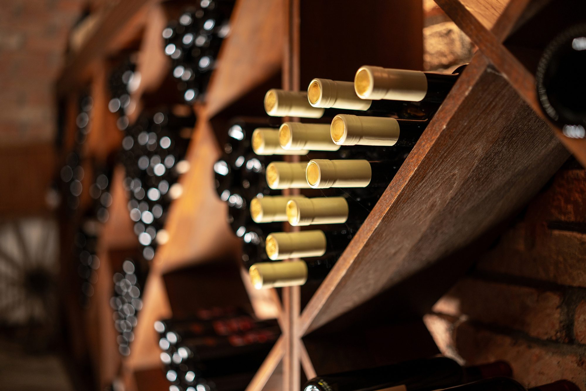 A collection of fine wine bottles